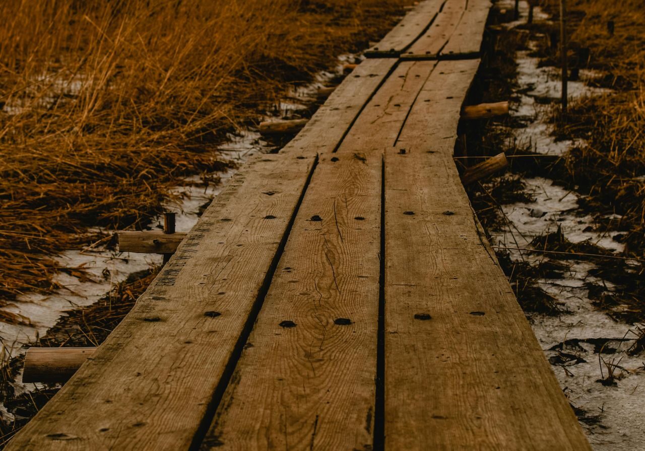 pexels-eva-bronzini-5940274